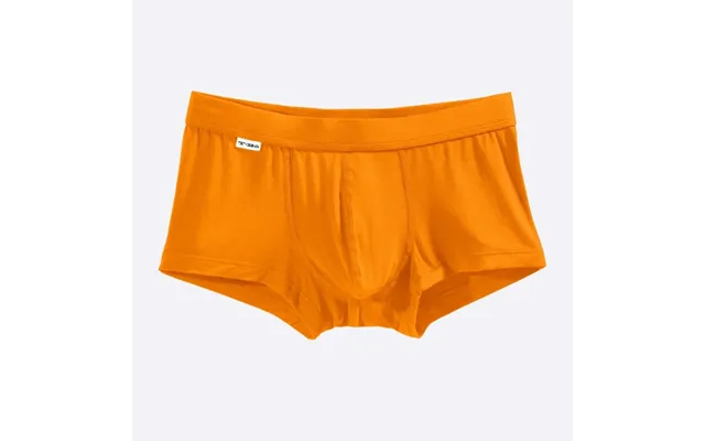 The Citrus Orange Trunk - L 33-36 Citrus Orange
