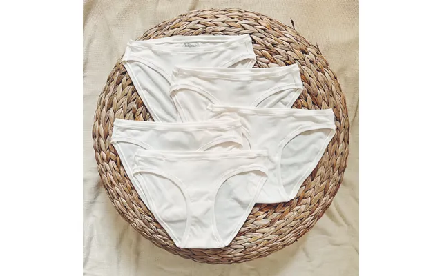 Womens' Tencel Micro Modal The Weekender Bikini Briefs - 5 Pack