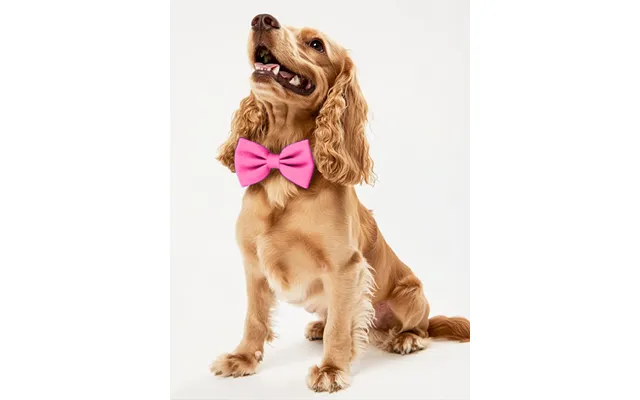 Dog Crepe Bow Tie - Azalea