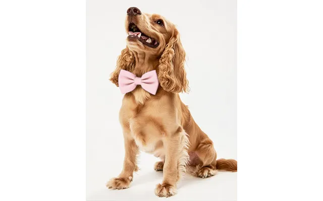 Dog Crepe Bow Tie - Candy-pink