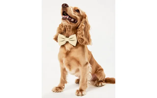 Dog Crepe Bow Tie - Champagne