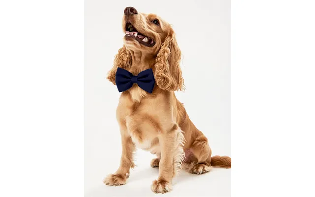 Dog Crepe Bow Tie - Dark-navy