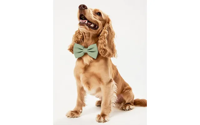 Dog Crepe Bow Tie - Dusty-sage