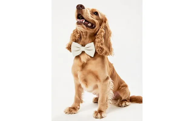 Dog Crepe Bow Tie - Ivory