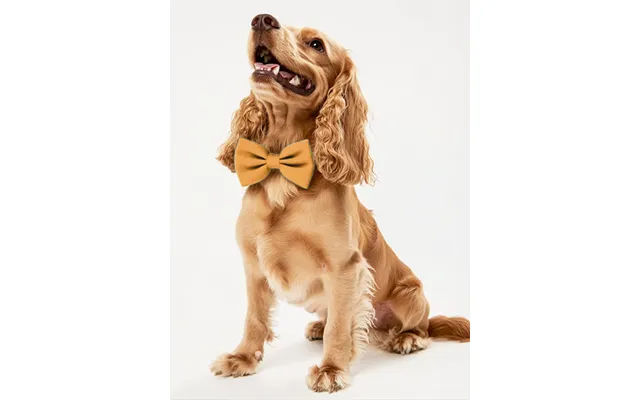Dog Crepe Bow Tie - Marigold