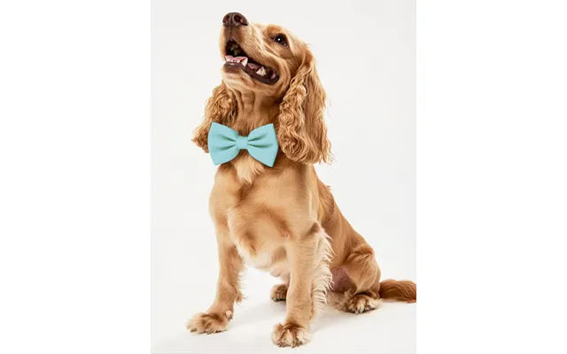 Dog Crepe Bow Tie - Mint-green