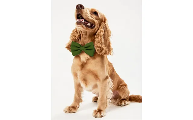 Dog Crepe Bow Tie - Olive-green