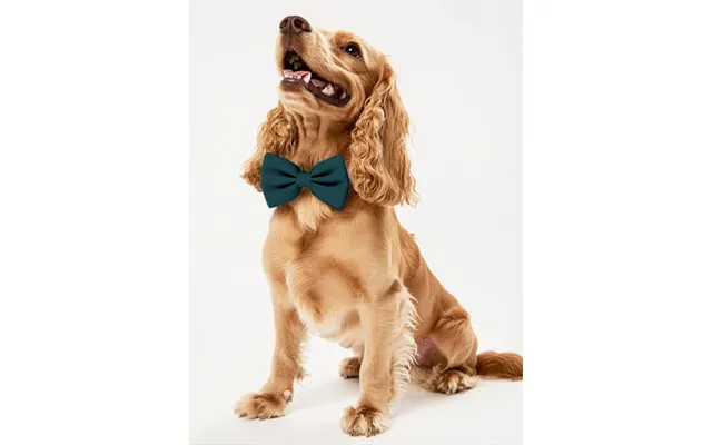 Dog Crepe Bow Tie - Peacock