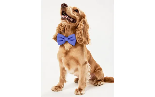 Dog Crepe Bow Tie - Periwinkle