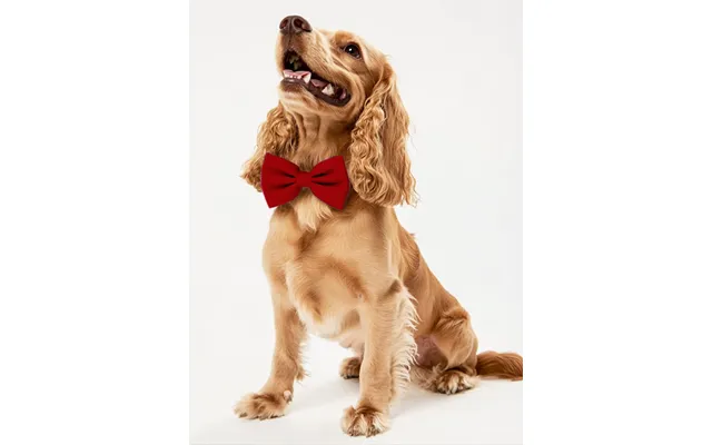 Dog Crepe Bow Tie - Red