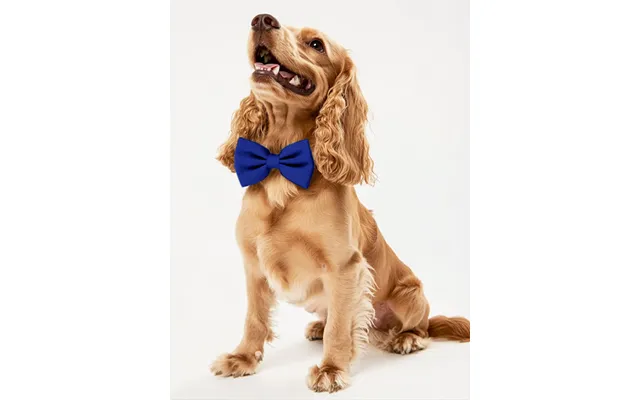 Dog Crepe Bow Tie - Royal-blue