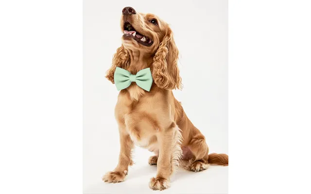 Dog Crepe Bow Tie - Sage