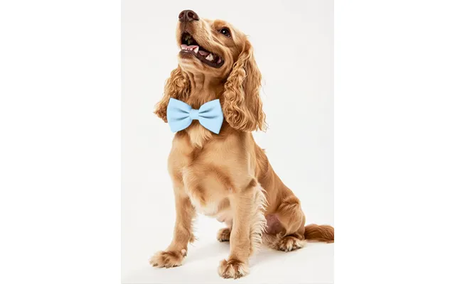 Dog Crepe Bow Tie - Sky-blue