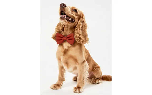 Dog Crepe Bow Tie - Terracotta