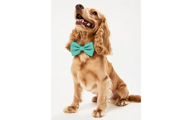 Dog Crepe Bow Tie - Turquoise