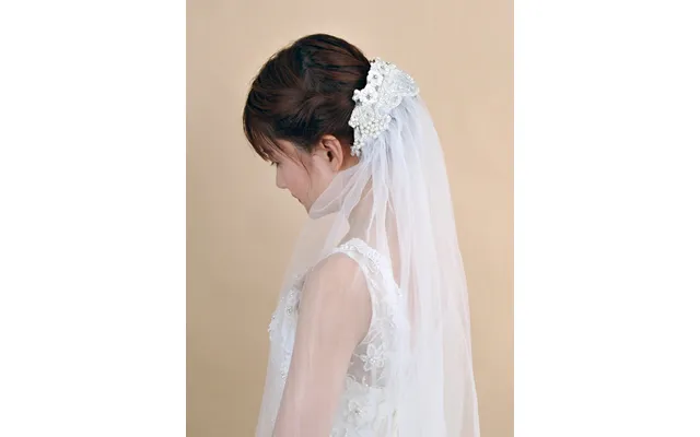 Elegant Handmade Exquisite Long Bridal Veil, Vs91 - Ivory