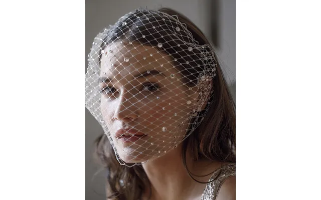 Elegant Simple Diamond Vintage Bird Cage Style Bridal Veil, Va12 - White