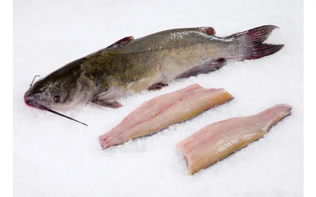 Catfish Fillet 5-8 Oz Ea