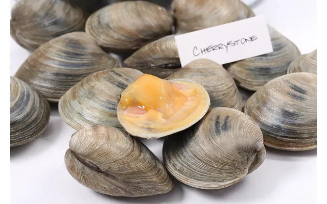 Cherrystone Clams Dozen
