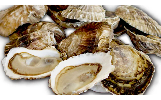 Fishers Island Oysters - Shucked