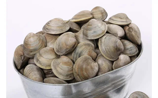 Little Neck Clams Dozen