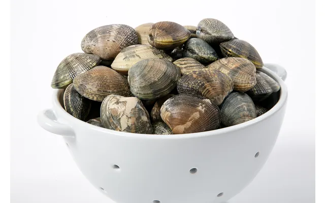 Manila Clams Approx 18 Per Pound