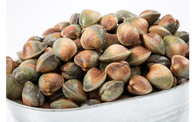 New Zealand Cockles Approx 24 Per Pound