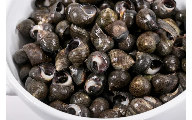 Periwinkles - 2 Lb 80-100 Per Lb