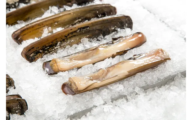 Razor Clams 6-8 In A Lb