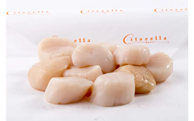 Sea Scallops 10-20 Per Lb