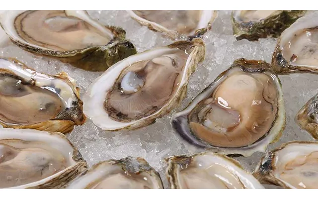 Wellfleet Oysters - Shucked, Shells On Side