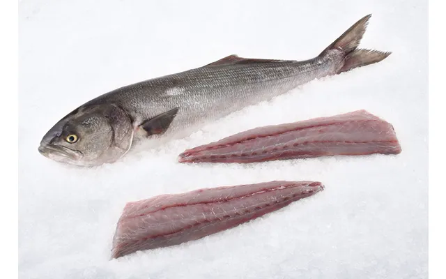 Wild Bluefish Fillet 6-8 Oz Ea