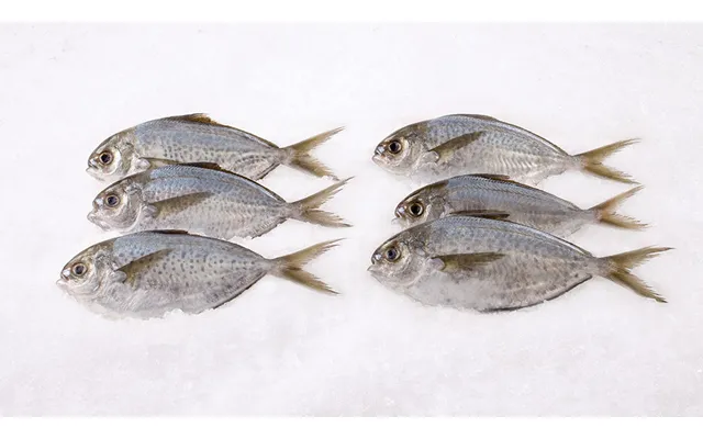 Wild Butterfish Whole 3-5 In A Lb