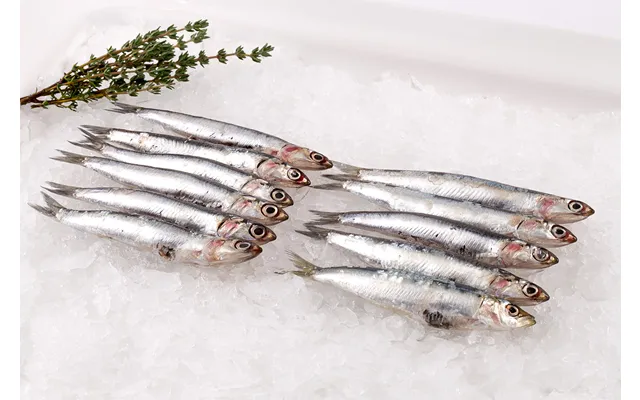 Wild European Anchovies - 1lb 16-18 Per Pound