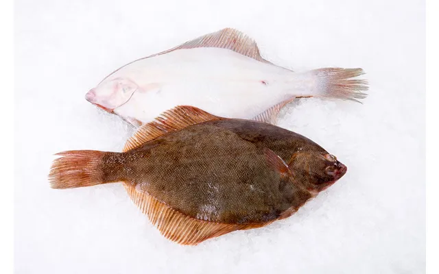 Wild Flounder Whole 2 Lbs Ea
