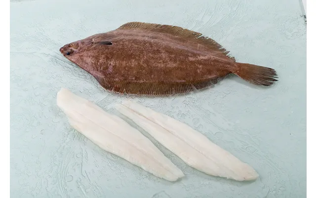 Wild Grey Sole Fillet - 2 Portions 4x 4-6oz Fillets