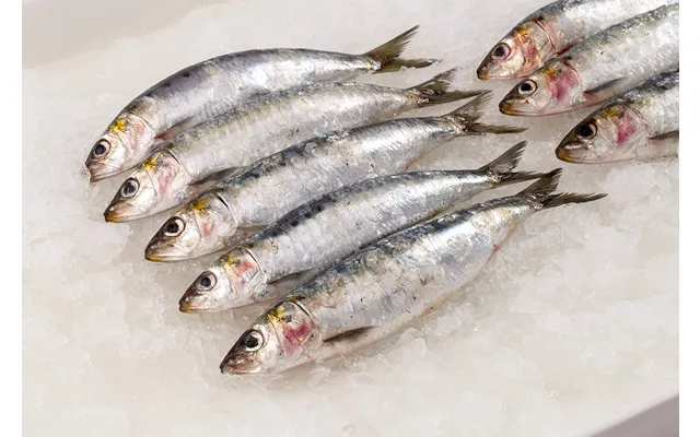 Wild Imported Sardines 5-6 In A Lb