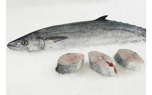 Wild King Mackerel Steak 6-8 Oz Ea