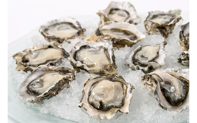 Wild Kumamoto Oysters - Shucked 1 3lb Per Dz