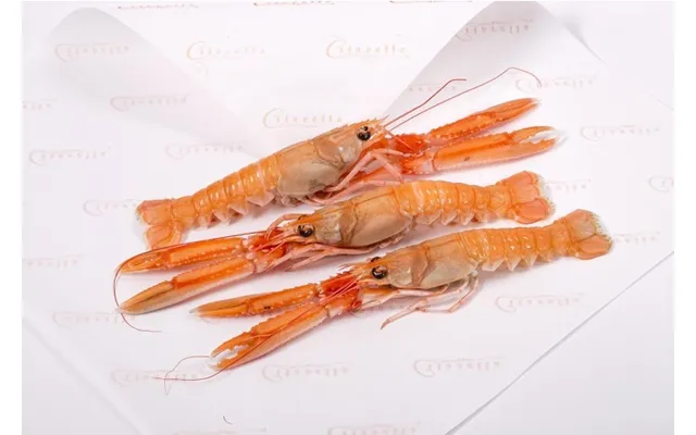 Wild Langoustines - 1lb 4-5 Per Lb