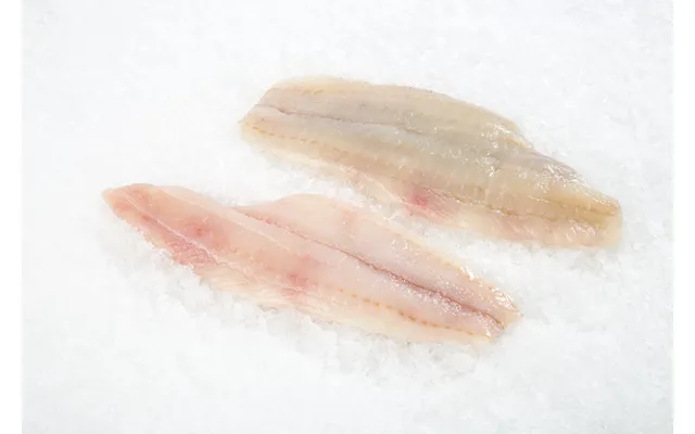 Wild Lemon Sole Fillet - 2 Portions 2x 6-8oz Fillets