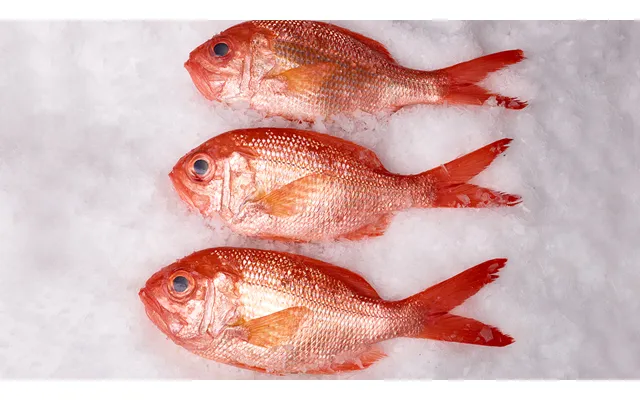 Wild New Zealand Red Snapper Whole 1.5-2 Lbs Ea
