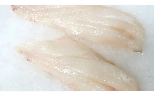 Wild Orange Roughy Fillet - 2 Portions 2x 6-8oz Fillets
