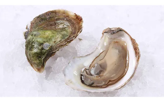 Wild Prince Edward Island Oysters Dozen