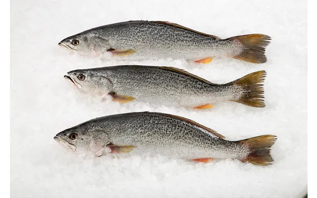 Wild Sea Trout Whole 1 Fish Approx. 1.5-2 Lbs Per Fish