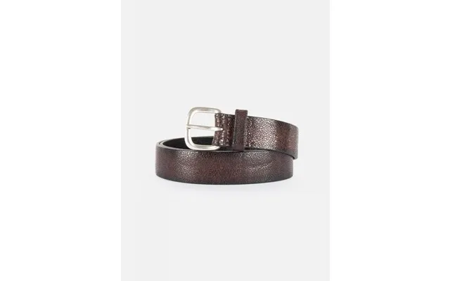 Belt Man Sergio Gavazzeni 32429 Norvegia Fango