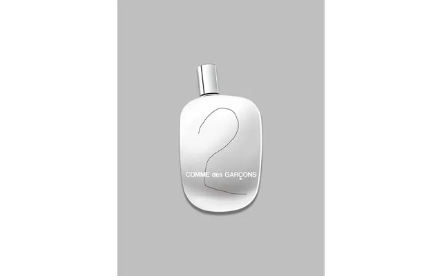Comme Des Garcons 2 Edp 100ml Spray