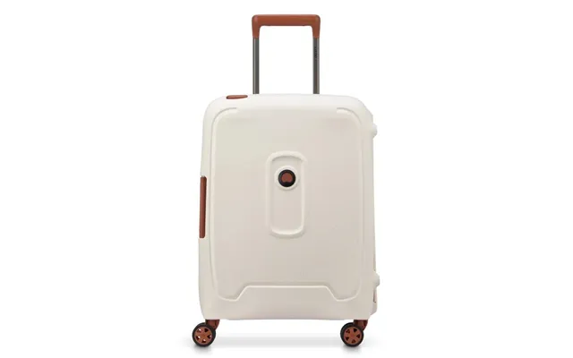 Delsey Men's Bags And Bags