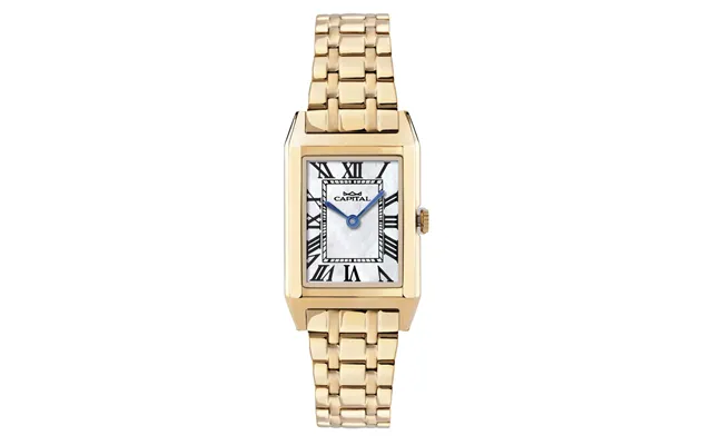Donna Watch Capital Ax8051-02-cz 22x 36 Mm