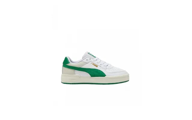 Man Puma